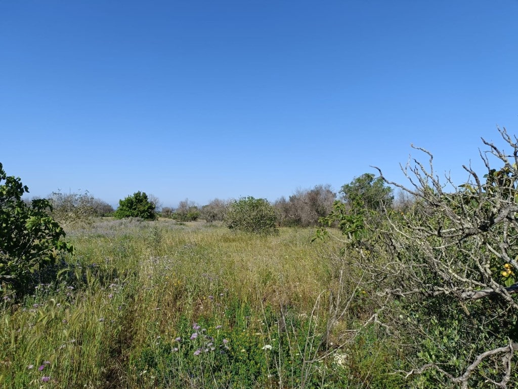 Giano Group Immobiliare